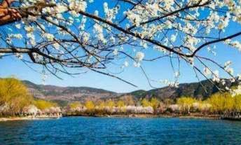 得物信用额度查询指南