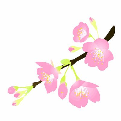 花呗怎样套花呗