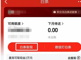 白条可取现额度为0怎么办