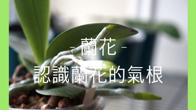 花呗被冻了？教你快速排查原因
