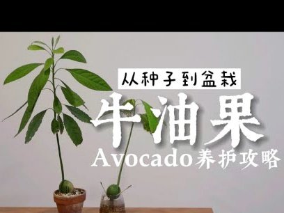 携程拿去花提现技巧