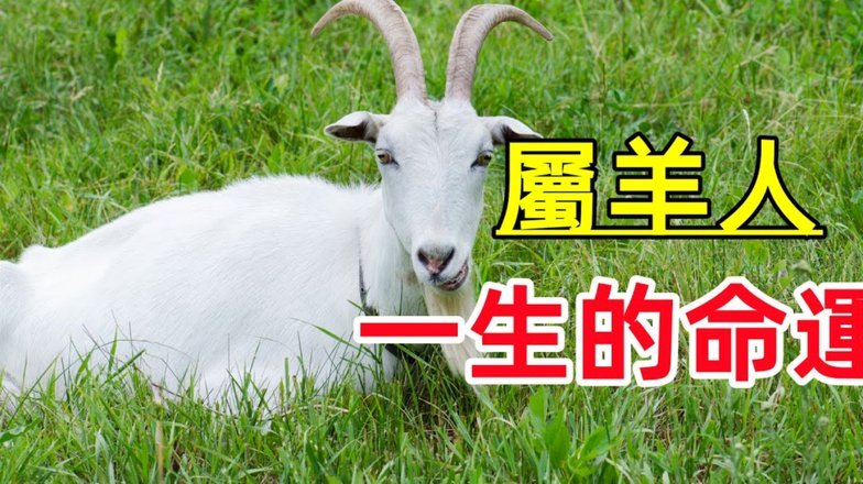 羊小咩便荔卡包取现步骤