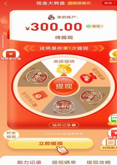 桃朵提现延迟：系统瓶颈与监管影响