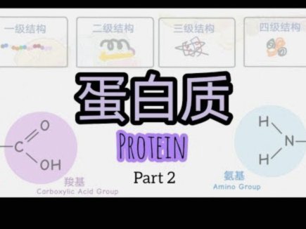 如何聪明地使用白条消费？