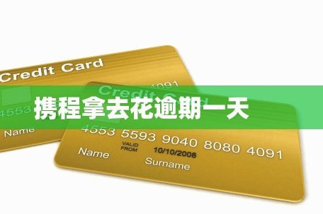 携程旅行拿去花如何套出来