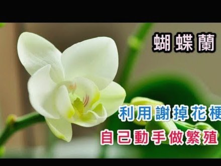 套现花呗平台有哪些