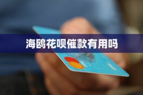 海鸥花呗平台 现在叫什么