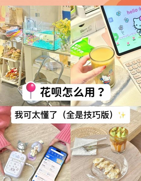 拿去花适用哪些平台