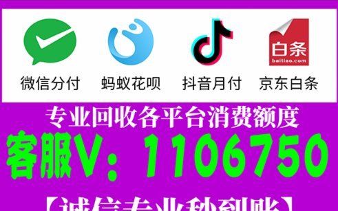 什么二维码能收白条