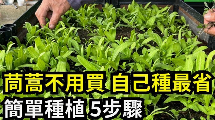 花呗分期额度如何安全提取?三种实用方法解析