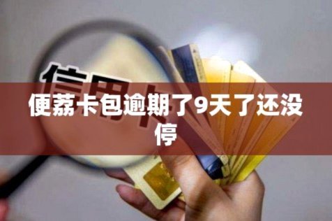 便荔卡包3万额度套现：费率与技巧全攻略