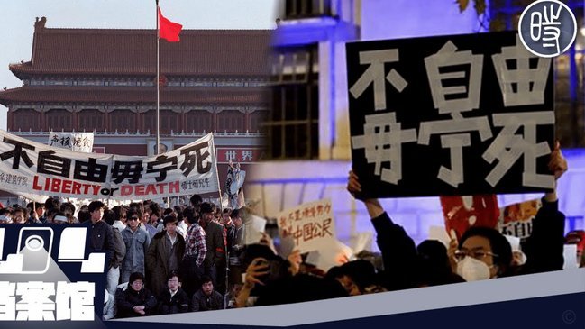 白条.六期改12期