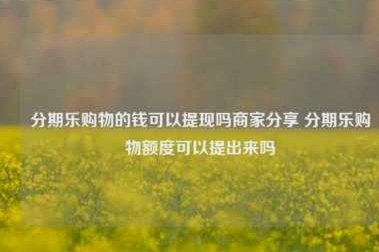购物额度可提现？深度解析消费金融的资金周转新模式