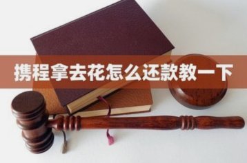 携程拿去花怎么用支付宝还款