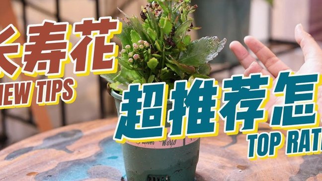 携程拿去花 现金怎么用 秒付
