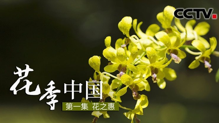 花呗平台正规吗 现在