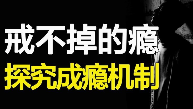 花呗替别人套现有什么后果