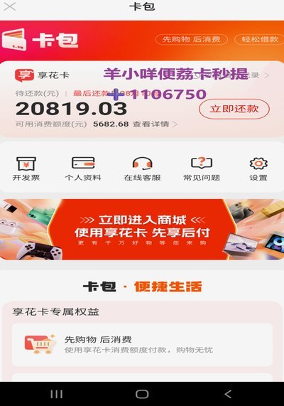 便荔卡包在视频中的创意运用技巧