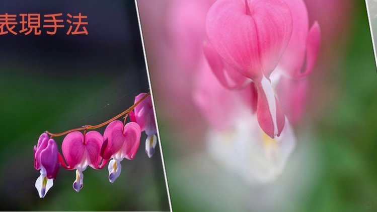 花呗使用怎么样
