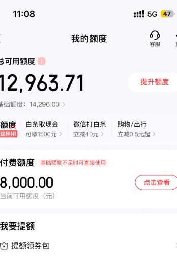 白条出来一个付费额度