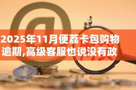 便荔卡包延期了2个月怎么办