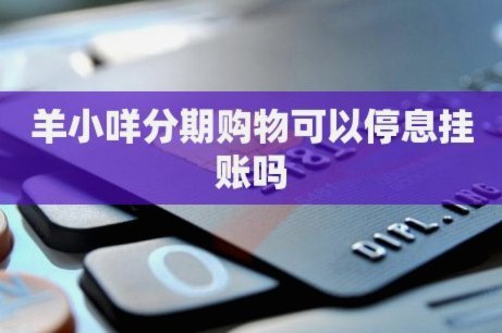 羊小咩怎么提前还清
