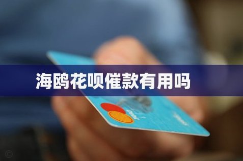 海鸥花呗是正规平台吗能借到钱吗