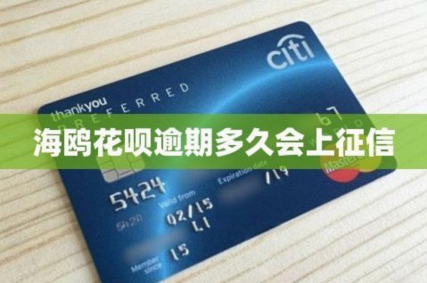 海鸥花呗是正规平台吗能借到钱吗