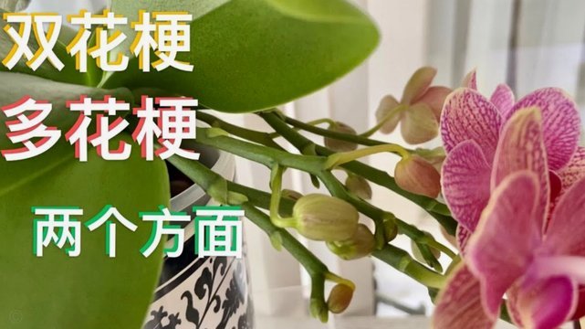 拿去花套现回收商家 套现违法吗