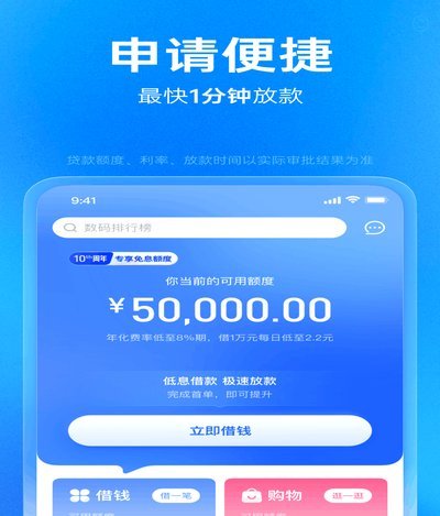 分期乐：现象与挑战