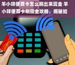 羊小咩怎么退货