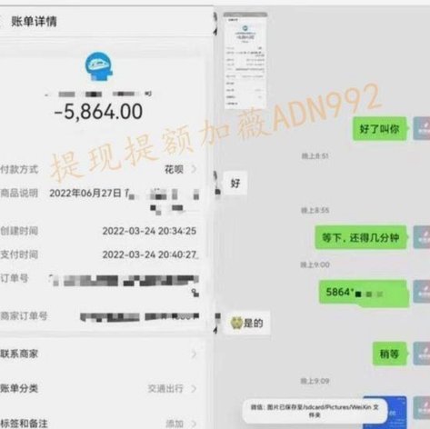 花呗2021盈利之道解析