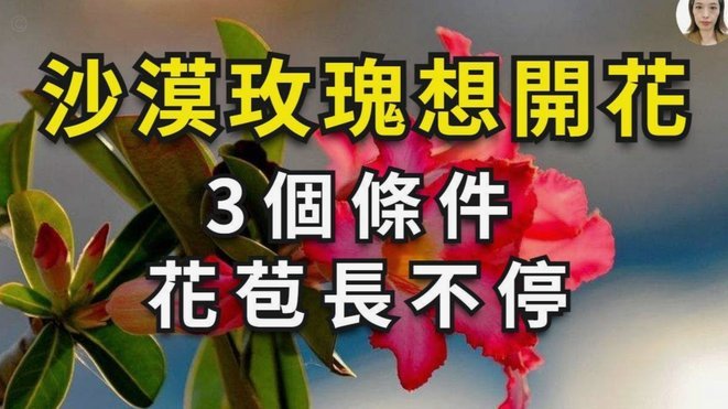 花呗套现陷阱：别让消费成负担