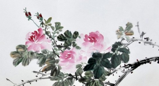 花呗合规运营，风险可控