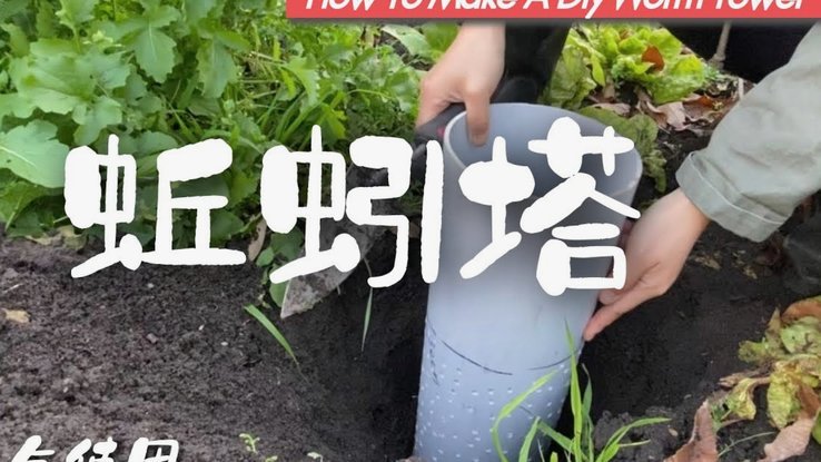 精准引流与用户价值构建方法