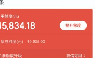 白条怎么借钱出来 大众点评呢