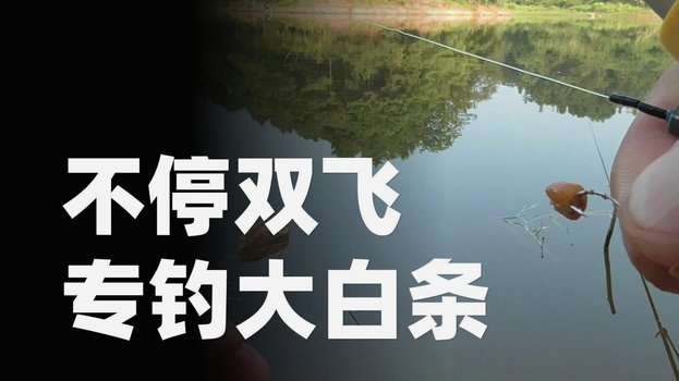 白条巧妙利用指南