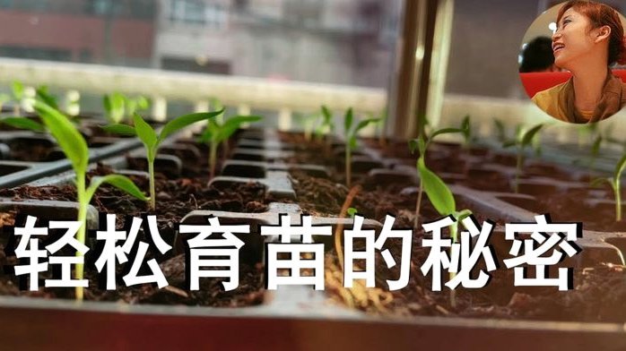拿去花取现成功率如何