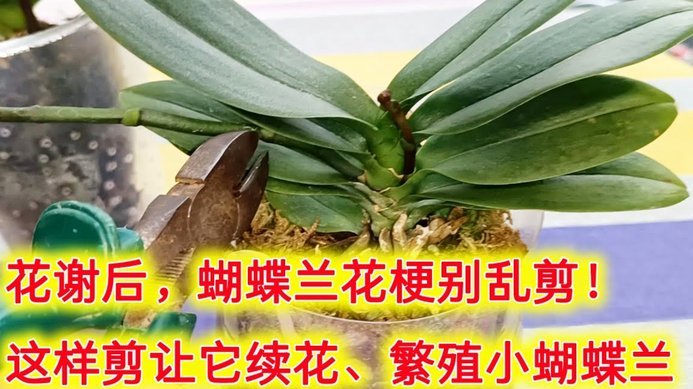 携程拿去花如何快速提现