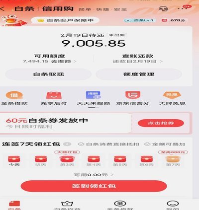 京东白条可以在大众点评消费吗