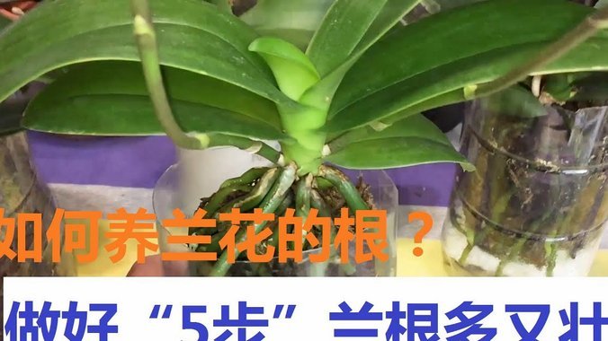 暗流套现，拿去花回收商家封门来了