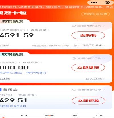 羊小咩购物额度优化攻略：实现消费最大价值