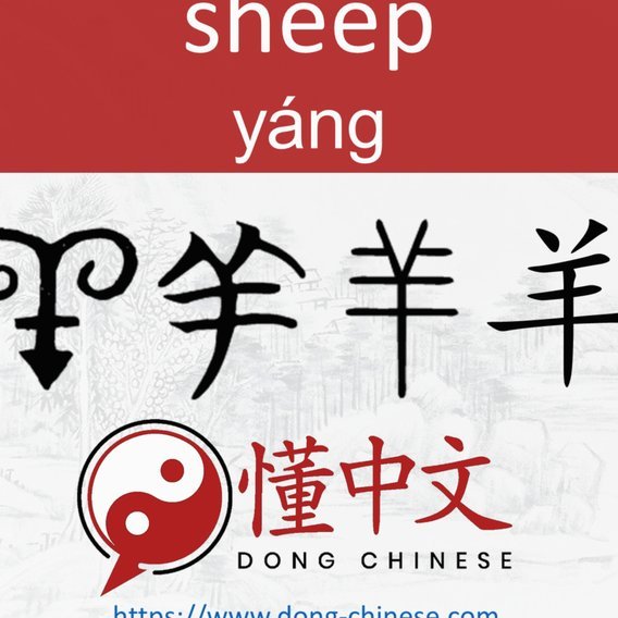 羊小咩退货后额度如何返还