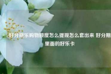 分期乐额度能取现吗？常见问题解答