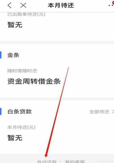 白条借款怎么借不出来