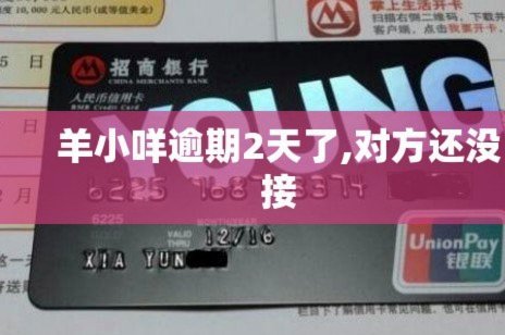 羊小咩还款路径迷雾解惑