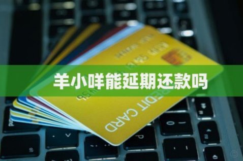 羊小咩在哪还款