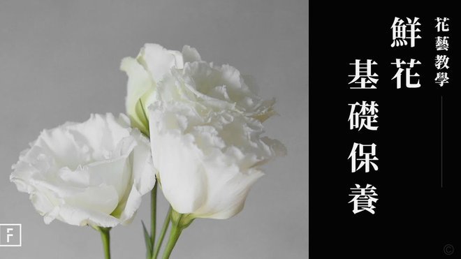 花呗取现？小心踩雷，合规最安全