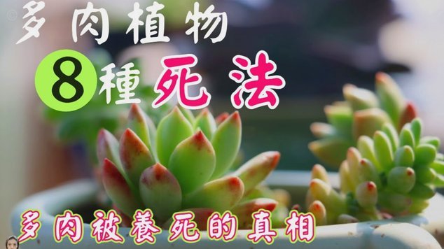 得物怎么看自己花了多少钱