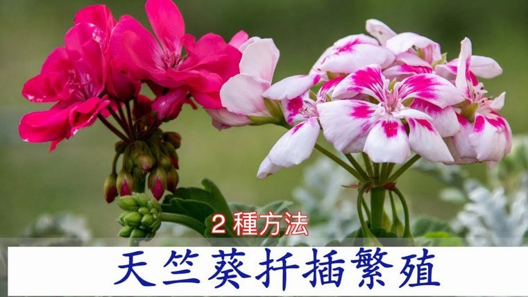 花呗如何自己套现